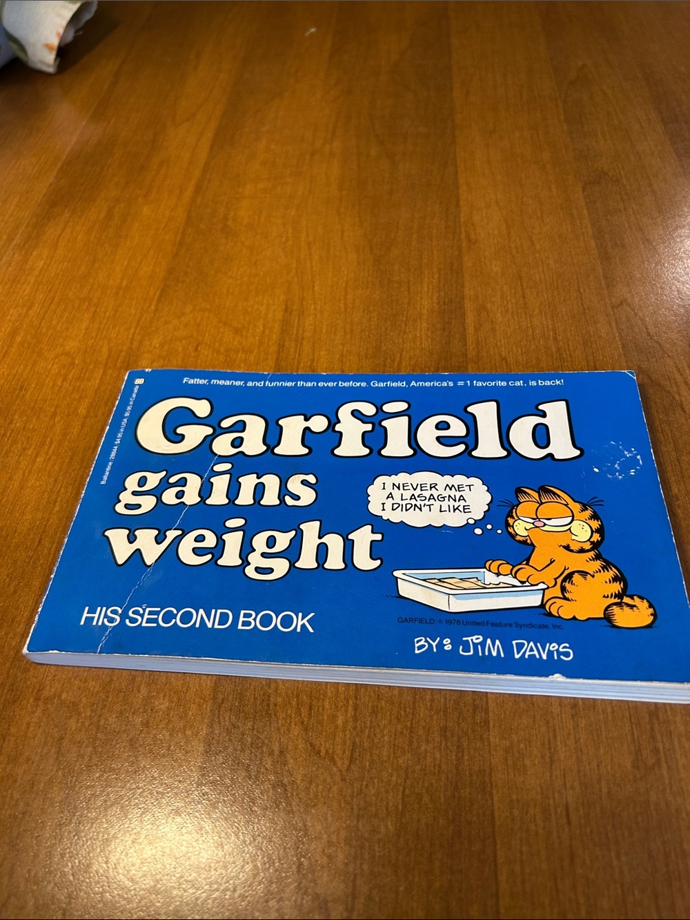 Book Garfield Gains Weight Book - Blue 1981